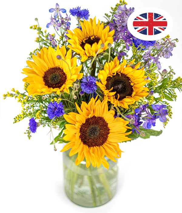 British Summer Meadow