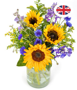 British Summer Meadow