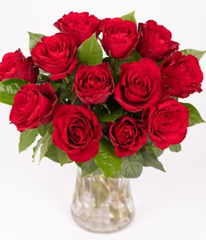 Red Roses