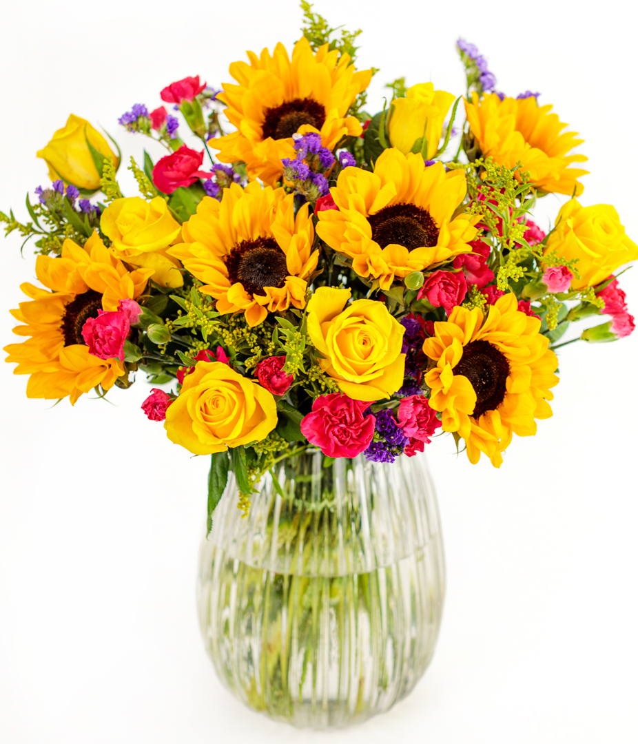Sunflower Garden